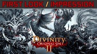 DIVINITY: Original Sin 2 Gameplay Let's Play Part 1 First Look & Impression 1080p60fps