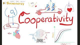 Enzyme Cooperatively & Hill's Coefficient | Oxygen-Hemoglobin Dissection Curve | Biochemistry
