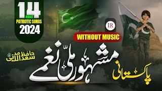 14 AUGUST LATEST SONG 2024 - PAKISTANI MILLI NAGHMAY MEDLEY - SAADULLAH MADNI - ISLAMIC RELEASES