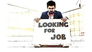 Why are you not getting job offers? | AlphaTube answers why you are not receiving any job offers