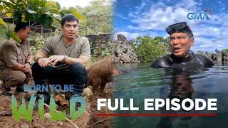 Visiting Apo Reef Natural Park and meeting a friendly warty pig  (Full Episode) | Born to be Wild