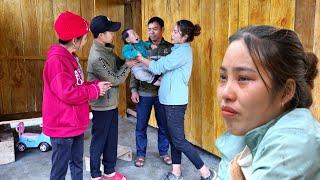 Harvesting cauliflower to sell - saying goodbye to the baby is very touching - hope the baby is safe