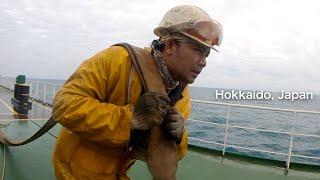 Totoong pinapahirapan ang mga Seaman sa Japan | Seaman Vlog EP 18
