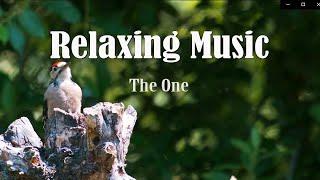 Relaxing Music - The One - Gentle Music | #CHANSOPHAL