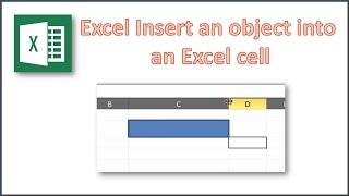 Excel Insert an object into an Excel cell