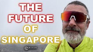 The Future of Singapore || Peter Zeihan