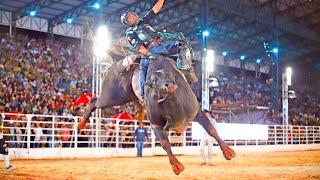 Rodeio da EMAPA de AVARÉ 2024 / FINAL COPA PERERÊ (SÁBADO / MELHORES MOMENTOS)