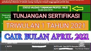 BERITA TERBARU TUNJANGAN PROFESI GURU ATAU TUNJANGAN SERTIFIKASI GURU TRIWULAN 1 2021 CAIR APRIL