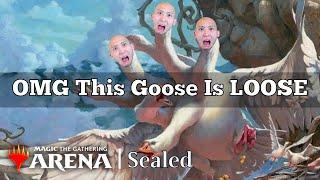 OMG This Goose Is LOOSE | Wilds Of Eldraine Sealed | MTG Arena