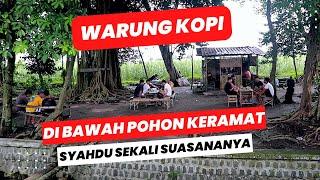 DI BAWAH POHON KERAMAT ADA WARUNG KOPI SYAHDU SEKALI ??? LOKASI SUMBER KENDUNG PAGU KEDIRI