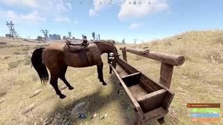 How to Take Care of Horses in Rust