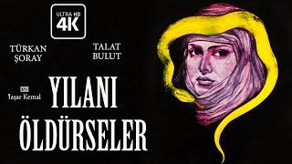 Yılanı Öldürseler Türk Filmi | 4K ULTRA HD | Türkan ŞORAY | Talat Bulut