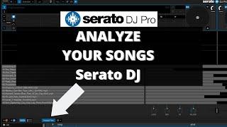 How To Analyze Songs In Serato DJ Pro (IMPORTANT DJ INFO!)