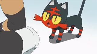 Litten knows who Masked Royal Is Pokémon Sun and Moon Episode 63 English Sub