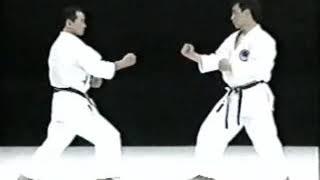 Kihon Kumite Wado-Kai