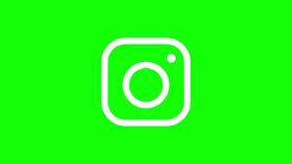 Instagram Logo Animation│Motion Graphics│Green Screen│Social Media Icons│
