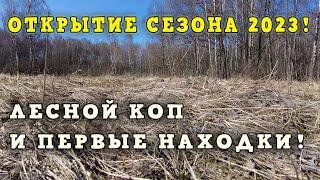 Открытие сезона 2023! Лесной коп и первые находки!