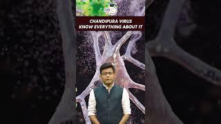Chandipura Virus Outbreak: Know Everything About This Deadly Virus