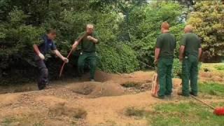 Wolves dig mysterious tunnels underground in Dublin Zoo!