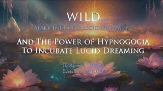 WILD - The power of Hypnogogia