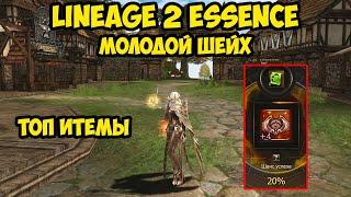 Молодой шейх в Lineage 2 Essence.