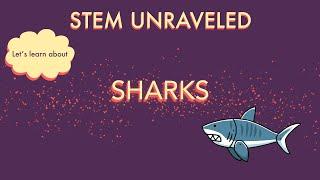 Sharks Facts | Shark Week for Kids | STEM Unraveled | STEM for Kids | Science for Kids