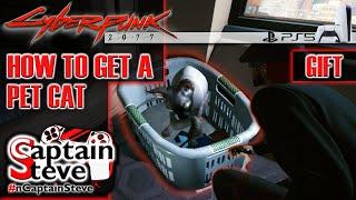 Cyberpunk 2077 How to get a pet cat Captain Steve Free Cat Food Location CP2077 Guide Hints and Tips