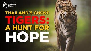 Thailand's Ghost Tigers: A Hunt for Hope in the Jungle | Storyteller Digital