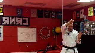 Bunkai 1-10, Matsumura Seito Shorin Ryu Karate-jutsu