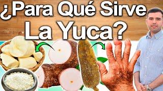 Para Qué Sirve la Yuca? - Beneficios, Propiedades Y Contraindicaciones De La Raíz De Yuca Para Salud