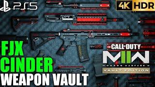 Modern Warfare 2 Vault Edition Weapon Vault FJX Cinder | MW2 Vault Edition FJX Cinder |PS5 MW2 Skins