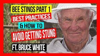 BEE STINGS (Part 1) Best Practices to Avoid Getting Stung