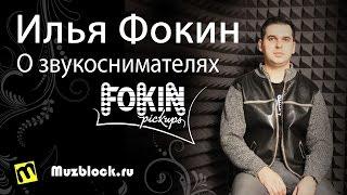Фокин Илья - О звукоснимателях ( Илья Фокин - звукосниматели Fokin Pickups )