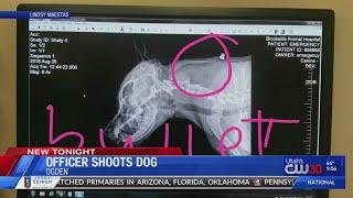 Ogden police officer shoots dog while responding to call