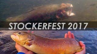 Underwater Trout Strike! - Fly Fishing for Huge Stocked Trout