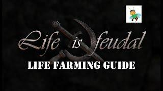 Life is Feudal Farming Guide