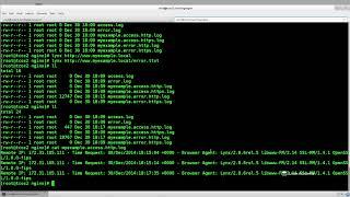 3 Custom Access Log Format