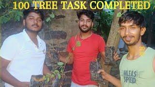 100 trees  task complete || 3rd vlog||               #vlog #nature