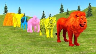 Long Slide Game With Elephant Gorilla Buffalo Hippopotamus Tiger - 3d Animal Game - Funny 3d Animals