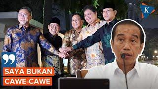 Jawaban Jokowi Usai Dicap Cawe-cawe Politik