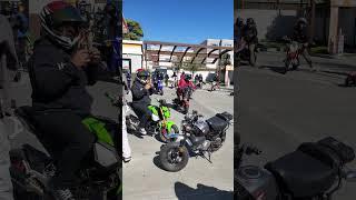 Honda Grom High Chair Rolling Burnout #stuntvideo