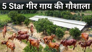 100 बीघा में बनी 5 स्टार गीर गाय गौशाला | Gir Cow Farm in Gujrat | Gir Cow Dairy Farm