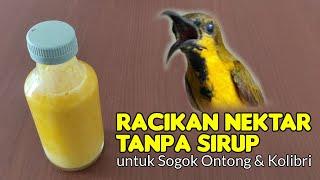 BARU... CARA MEMBUAT NEKTAR SOGOK ONTONG TANPA SIRUP |RACIKAN NEKTAR UNTUK SOGOK ONTONG SUPAYA GACOR