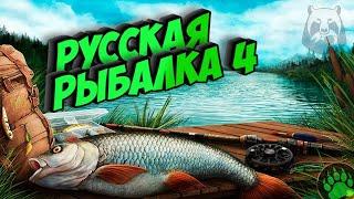 РОЗЫГРЫШ НАЖИВОК !!! РУССКАЯ РЫБАЛКА 4 / ФАРМ НА янтарке ! НОВИЧОК РР4