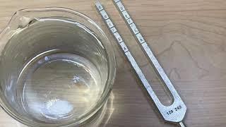 Tuning fork in water demonstration