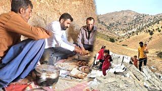 "Engineer Babazadeh Sets Up Tents on Farmland: A New Chapter Begins"