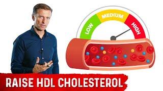 The Most Powerful Agent to Raise HDL