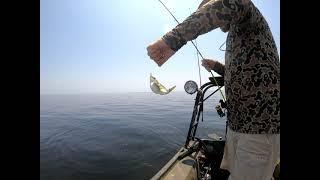 How to catch PINFISH the EASY way.(also fun and easy for kids)