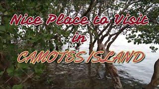 Wonderful Place, Fisherman's Dining Area In The Middle of Mangrove Trees | Junba Teks