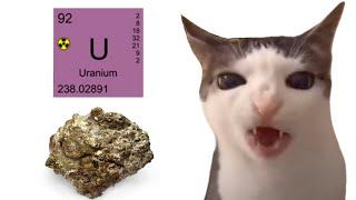 cat eats uranium